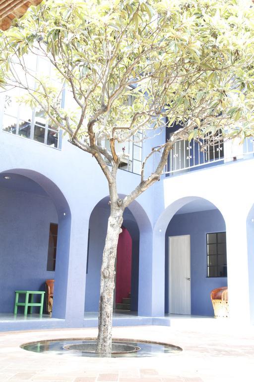 La Betulia Bed And Breakfast Oaxaca Bilik gambar